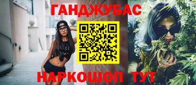 шишки Кимры