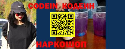 МДПВ Кингисепп
