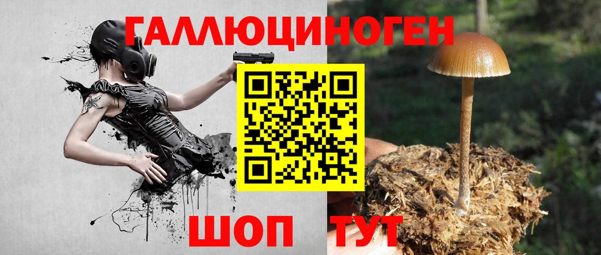 Кумертау  Псилоцибиновые грибы GOLDEN TEACHER  Вход с VPN 