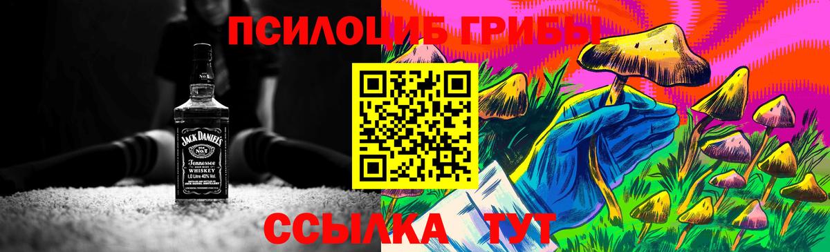 Псилоцибиновые грибы GOLDEN TEACHER Кумертау