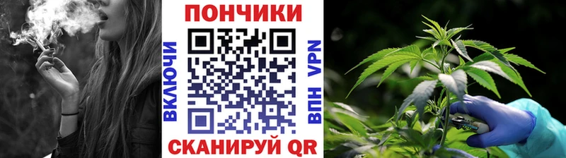 Шишки марихуана OG Kush Кумертау